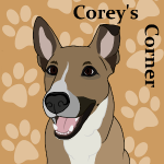 Corey's Corner